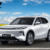 GEELY STARRAY EM-i